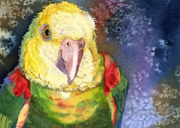 parrot baby birds Oil Paintings